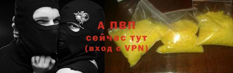 A PVP СК КРИС  Верещагино 